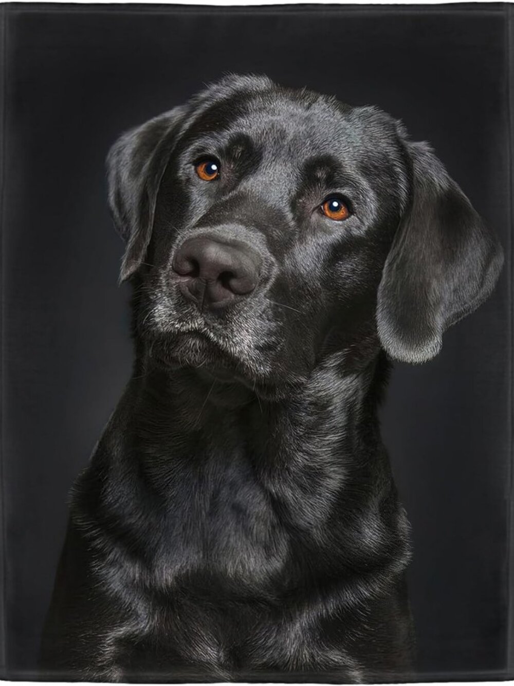 Cozy Black Lab Fleece Throw Blanket, Soft Fluffy Dog Print, 60"x80" Home Decor